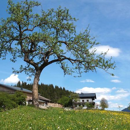 Unterhofgut Goldegg Exterior foto