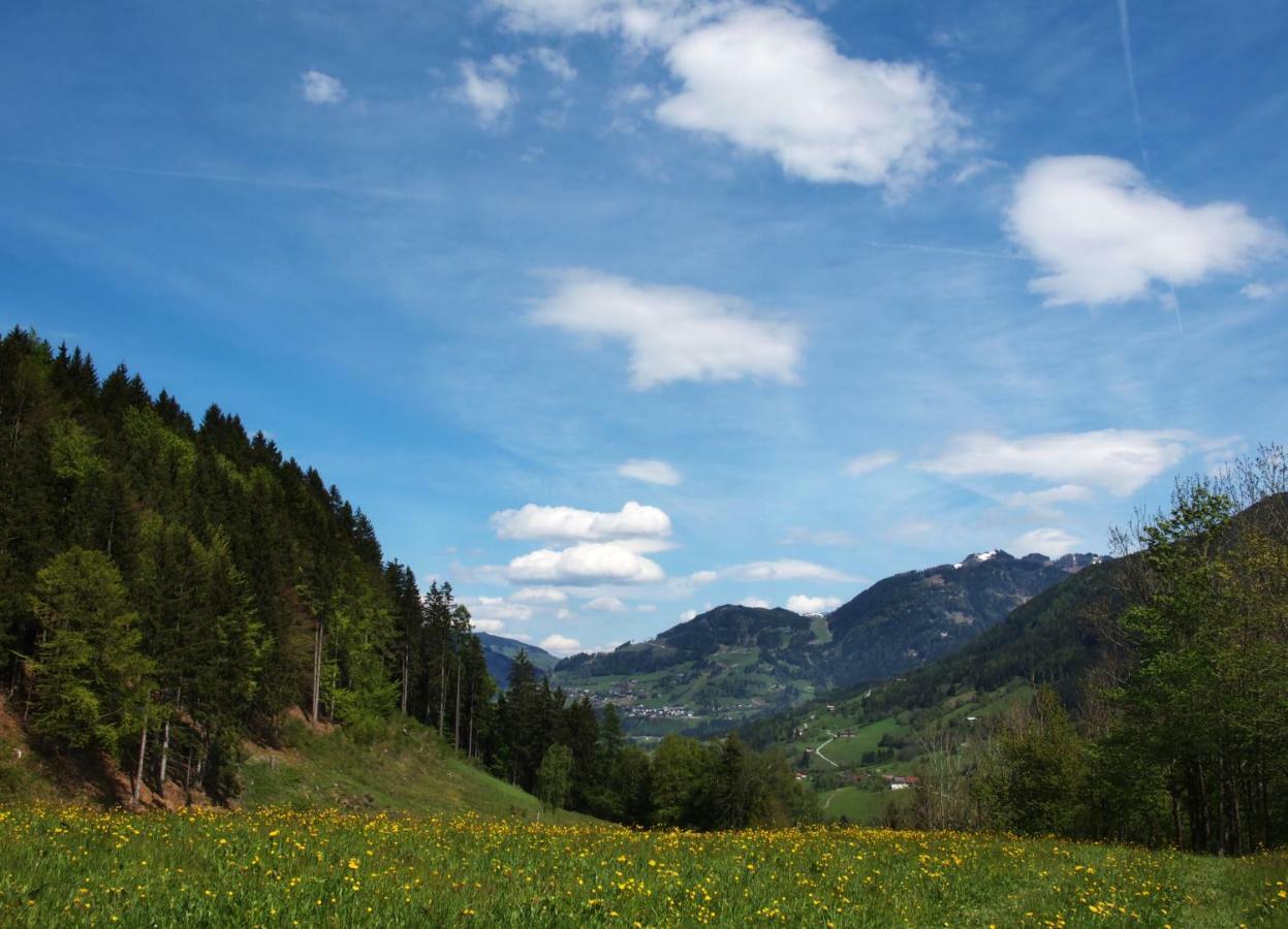 Unterhofgut Goldegg Exterior foto