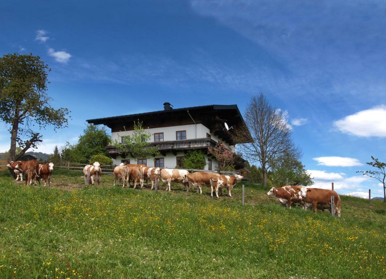 Unterhofgut Goldegg Exterior foto