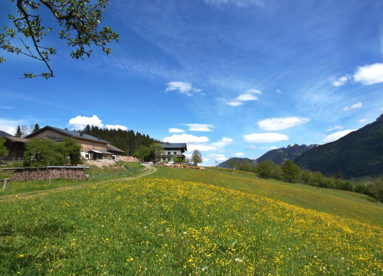Unterhofgut Goldegg Exterior foto